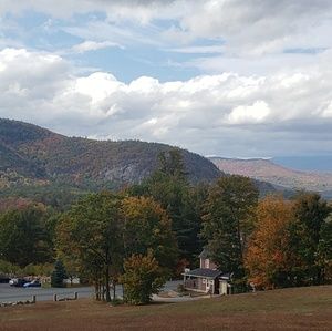 Meet your Posher, Ginger